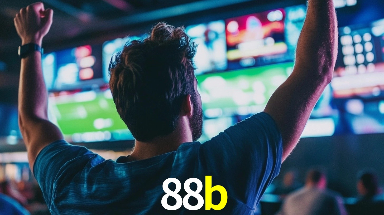 88b.com